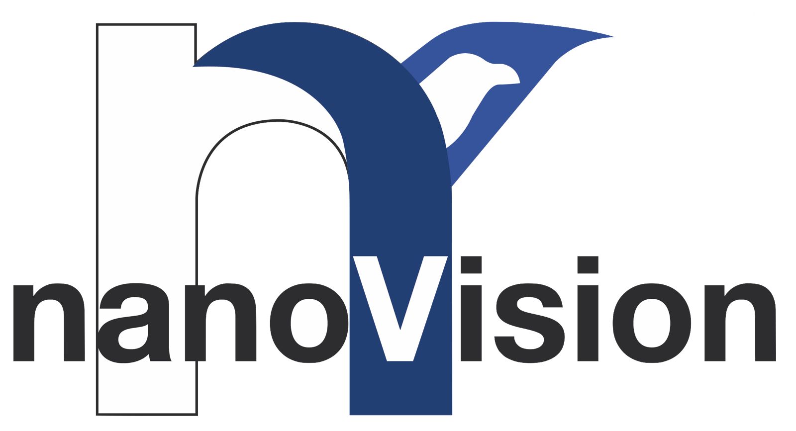 Nanovision